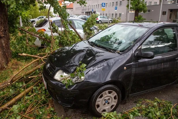 Hırvatistan'da şiddetli rüzgar ve yağmurda devrilen ağaçlar nedeniyle 2 kişi yaşamını yitirdi