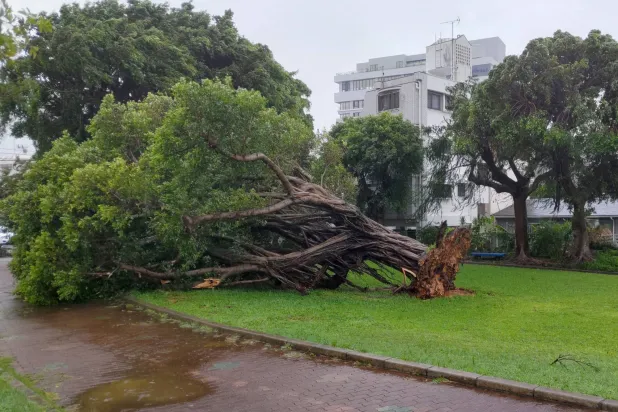  جانب من الأضرار نتيجة الإعصار خانون في مدينة أوكيناوا (إ.ب.أ)