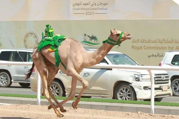 «هداد» خلال سباق الشوط الرئيسي (واس)