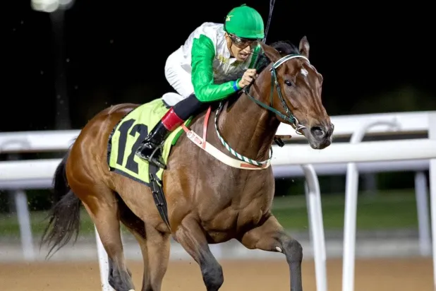 الجواد أنكل خلال السباق (الشرق الأوسط)