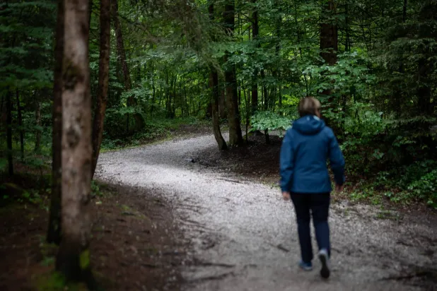 سيدة تمشي في غابة بالقرب من شاتو دي أويكس في بريلبس غرب سويسرا