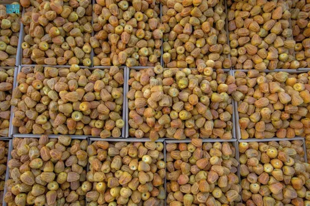 أجود أنواع التمور تُقدّم سنوياً في «كرنفال بريدة للتمور» (واس)