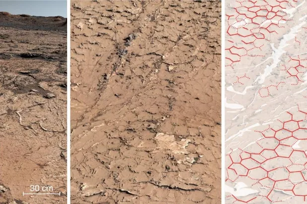 صور تُظهر أنماطاً أحفورية سداسية في الصخور الرسوبية على المريخ (أ.ف.ب)