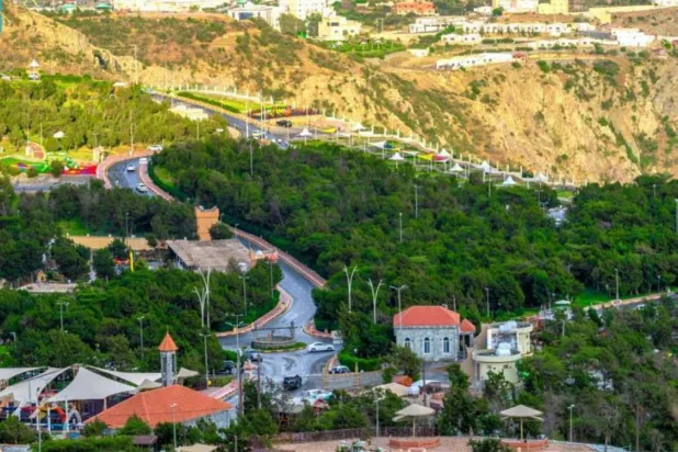 تغطي أشجار العرعر مساحات الغابة كافة (واس)