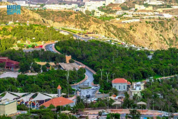 درخت عرعر پوشش گیاهی این جنگل است (واس