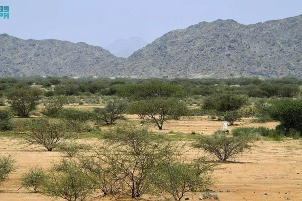  Saudi Arabia aims to harness modern technology to combat desertification (SPA)
