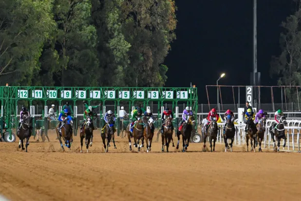 شوط كأس الملك فيصل سينحصر على فئة الخيل العربية الأصيلة (الشرق الأوسط)