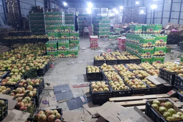 Yemeni consumers are unable to purchase fruits despite their abundance and declining prices
