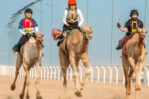 شهد المهرجان سباقاً بين السيدات المهتمات بالهجن (واس )