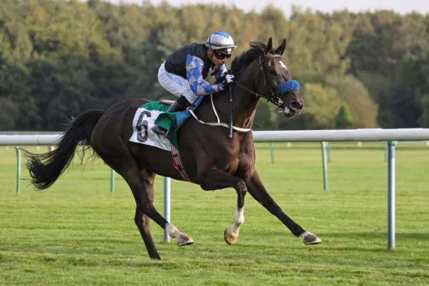 «ذايدة عذبة» تألقت بشكل لافت في السباق الكبير (الشرق الأوسط)