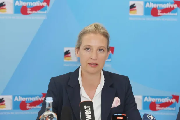 أليس فايدل الزعيمة المشتركة لحزب «البديل لألمانيا» (د.ب.أ)