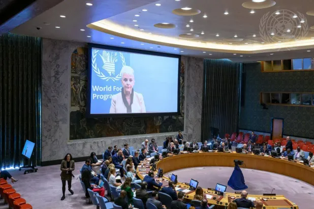 سيندي ماكين تتحدث عبر الفيديو مع أعضاء مجلس الأمن في نيويورك (الأمم المتحدة)