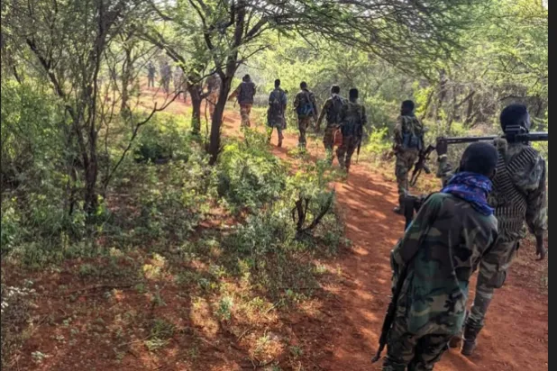 الجيش الصومالي ينفذ عمليات تمشيط في مناطق بإقليم مدغ (وكالة الأنباء الصومالية)