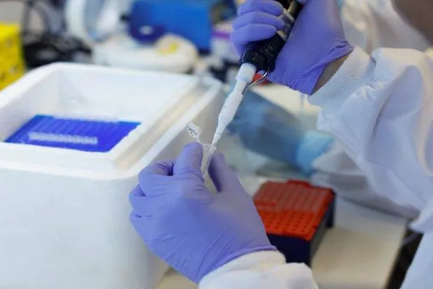 استخراج حمض نووي بشري عمره 6000 عام شرق الصين