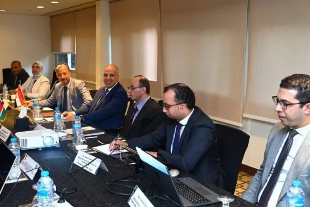 جانب من اجتماع «اللجنة الفنية» لمصر وجنوب السودان في القاهرة (وزارة الري المصرية)