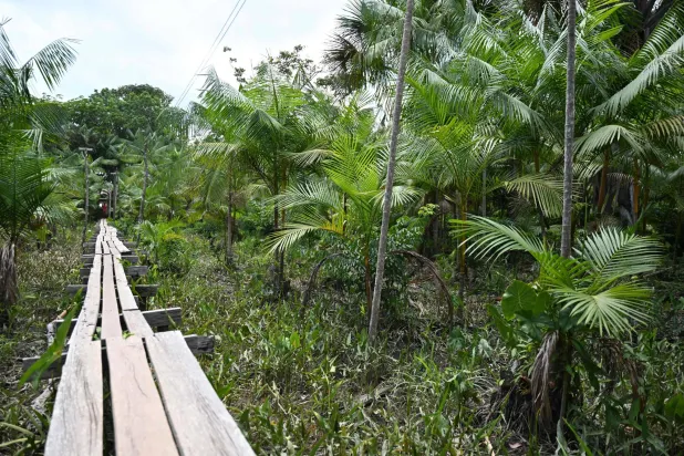 في قلب الأمازون بمنطقة بارا البرازيلية (أ.ف.ب)