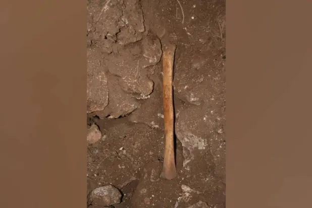 الفريق فحص البقايا التي عثر عليها في كويفا دي لوس مارموليس بالقرب من مدينة غرناطة جنوب إسبانيا (سي إن إن)