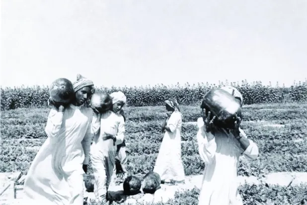 
مجموعة من المزارعين السعوديين يحملون منتوجات إحدى المزارع عام 1950م (دارة الملك عبد العزيز مجموعة جامعة جورج واشنطن)