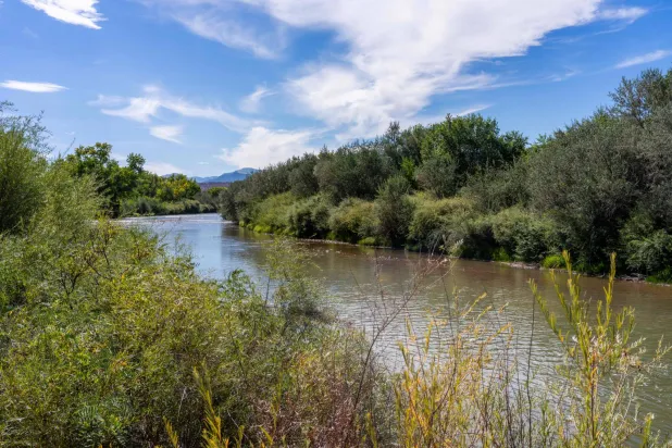 نهر ريو غراندي يتدفق في اتجاه مجرى نهر إل كانغريخو في 25 سبتمبر 2023 في غابة ريو غراندي الوطنية كولورادو (أ.ف.ب)