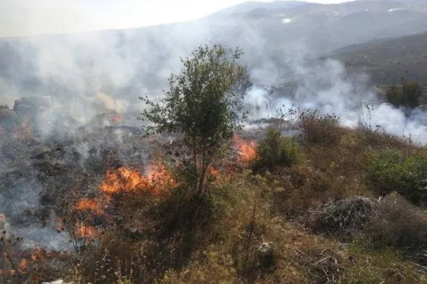 جانب من حريق إقليم الخروب (وسائل إعلام محلية)