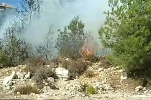 حرائق التهمت أحراش الصنوبر في جبل لبنان قبل إخمادها مساء السبت (الوكالة الوطنية للإعلام)