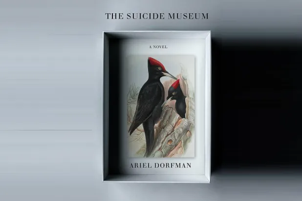 غلاف الرواية