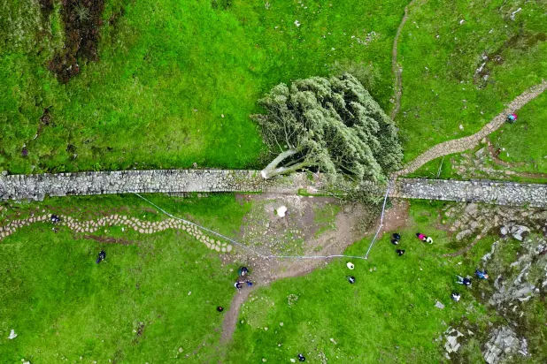 
تصویر هوایی از درخت «سیکامور گپ» قطع شده در پارک ملی نورثامبرلند (رویترز)