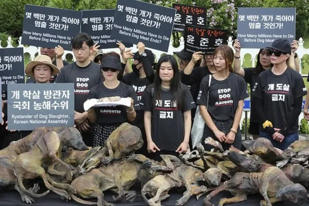 من تظاهرة سابقة تعارض أكل لحوم الكلاب في سيول (أرشيفية)