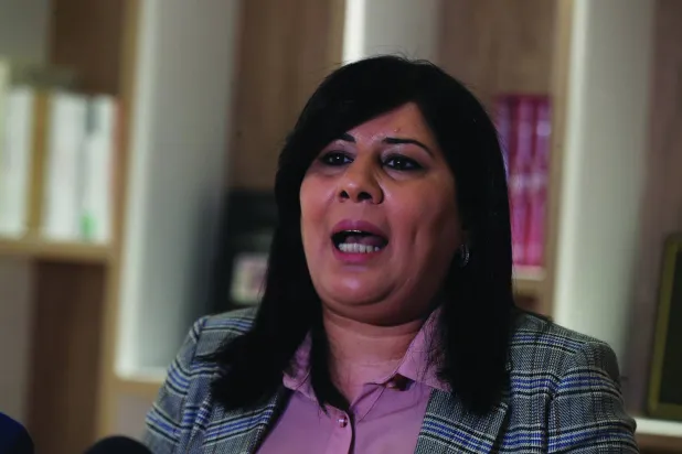 رئيسة الحزب الدستوري الحر عبير موسي (إ.ب.أ)