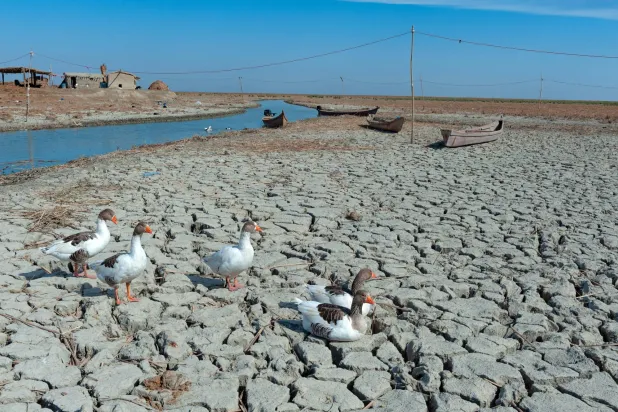 مؤتمر علمي حول أزمة المياه في العراق
