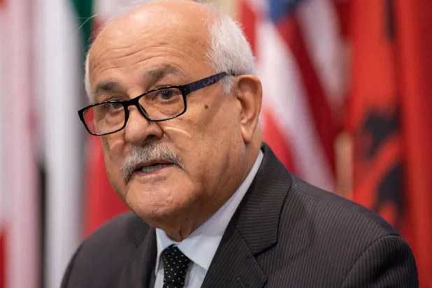  Palestinian Ambassador to the UN Riyad Mansour (AFP)