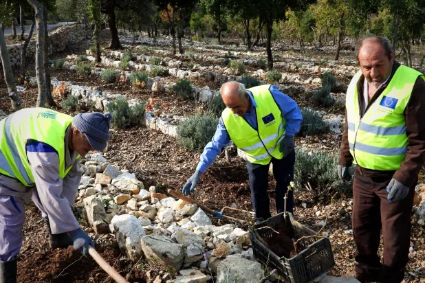 
 إقامة مناطق عازلة للنيران في محمية أرز الشوف في لبنان (الشرق الأوسط)