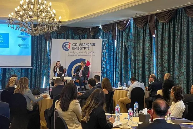 محمد حنفي رئيس «لينكس» للاستشارات يحاور مي فريد المديرة التنفيذية للتأمين الصحي الشامل في مصر (الشرق الأوسط)