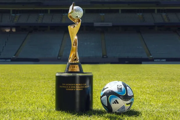 الاتحادات ستقوم بتشكيل ملف يتماشى مع المتطلبات التي وضعها الاتحاد الدولي لكرة القدم (فيفا)