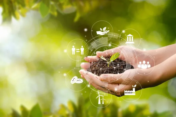 اشجار تزرع في اليد اعتماداً على تقنية استخدام الموارد المتجددة (شاترستوك)