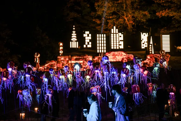 ABD'de Cadılar Bayramı kutlamalarındaki silahlı saldırılarda ölü sayısı 6'ya yükseldi