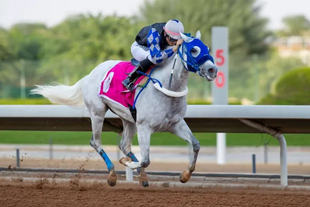 الفرس "متوهجة" حققت فوزاُ كبيراً في سباق الأفراس العربية الأصيلة (الشرق الأوسط)