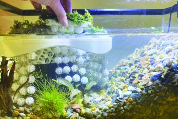 منصة عائمة لبكتيريا تتخلص من السموم البيئية