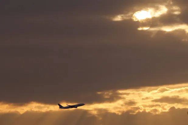 الطائرة كانت متجهة إلى بلجيكا من نيويورك لكنها استدارت بعد 90 دقيقة تقريباً من مغادرتها عندما هرب الحيوان (رويترز)