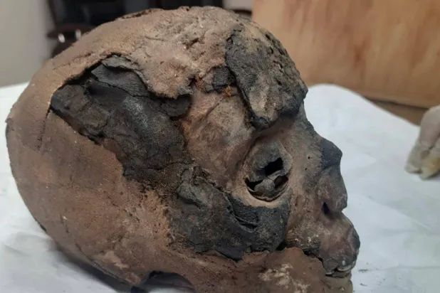 رأس مومياء بشرية (وزارة الخارجية المصرية)