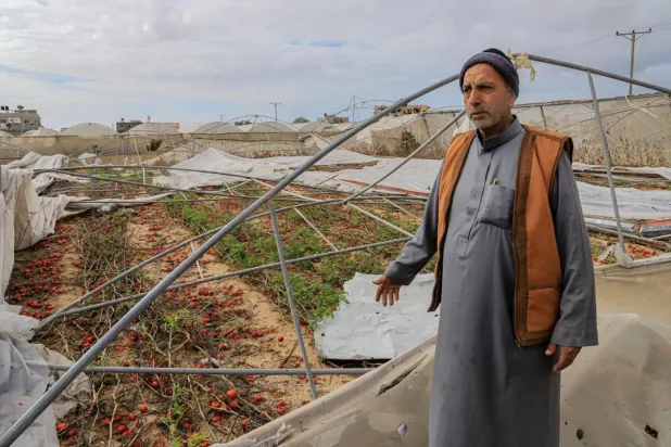 "Gazze'nin gıda deposu" Han Yunus'u hedef alan İsrail, 120 bin dönüm tarım arazisini yok etti