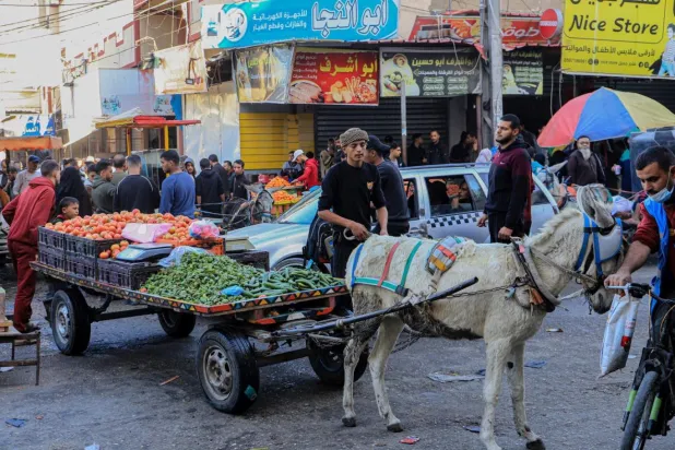Küçük Refah, Filistinlilerin ihtiyaçlarını karşılayamıyor