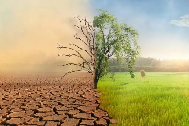 «Google.org» يتعهد بتقديم منحة بقيمة مليون دولار لدعم هذه المبادرة (شاترستوك)