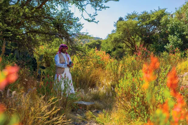 من خلال «مبادرة السعودية الخضراء» تم استصلاح 94 ألف هكتار من الأراضي المتدهورة