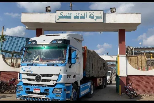 وزارة التموين المصرية توفر كميات من السكر في الأسواق (التموين المصرية)