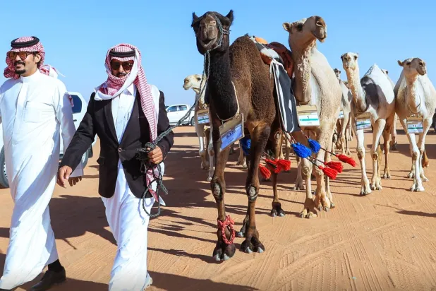مهرجان الملك عبدالعزيز للإبل يقام تحت شعار «عز لأهلها» (واس)
