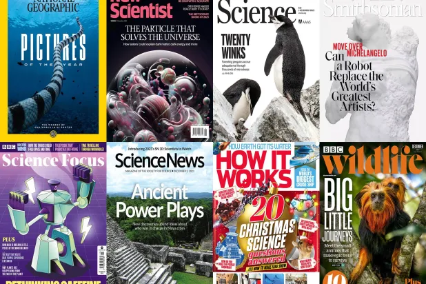 الأنشطة البشرية تهدد الأنواع الحيّة في كل مكان