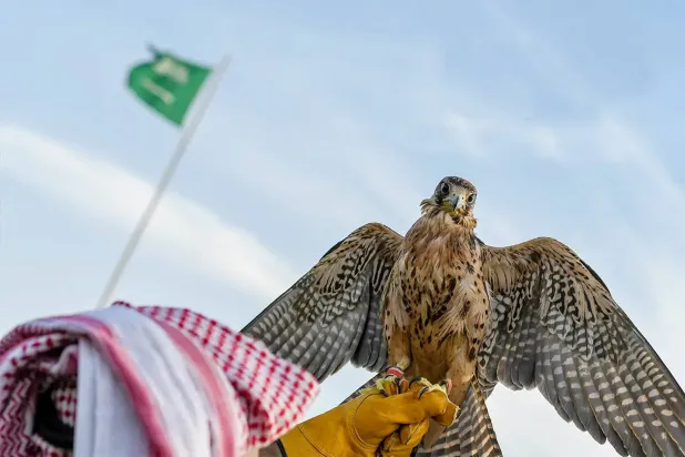 بدء التسجيل لمنافسات «كأس العُلا للصقور»... (الشرق الأوسط)