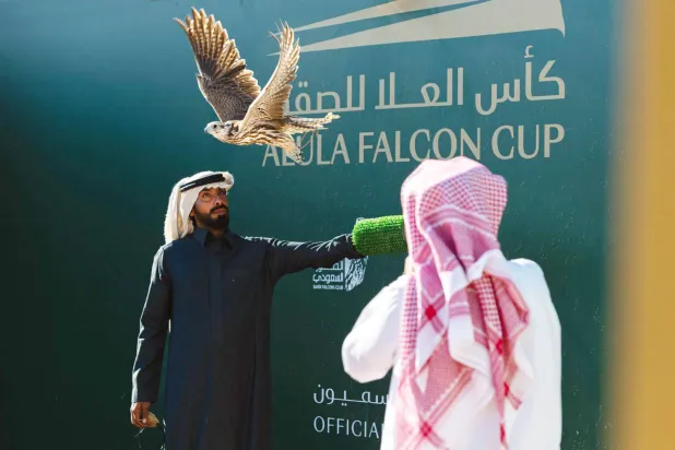 جانب من منافسات «كأس العُلا للصقور 2023» (الشرق الأوسط)
