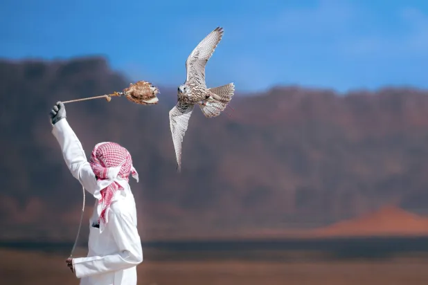 أجواء ميدان العُلا وقرية مغيراء مناسبة جداً لسباقات الملواح (واس)